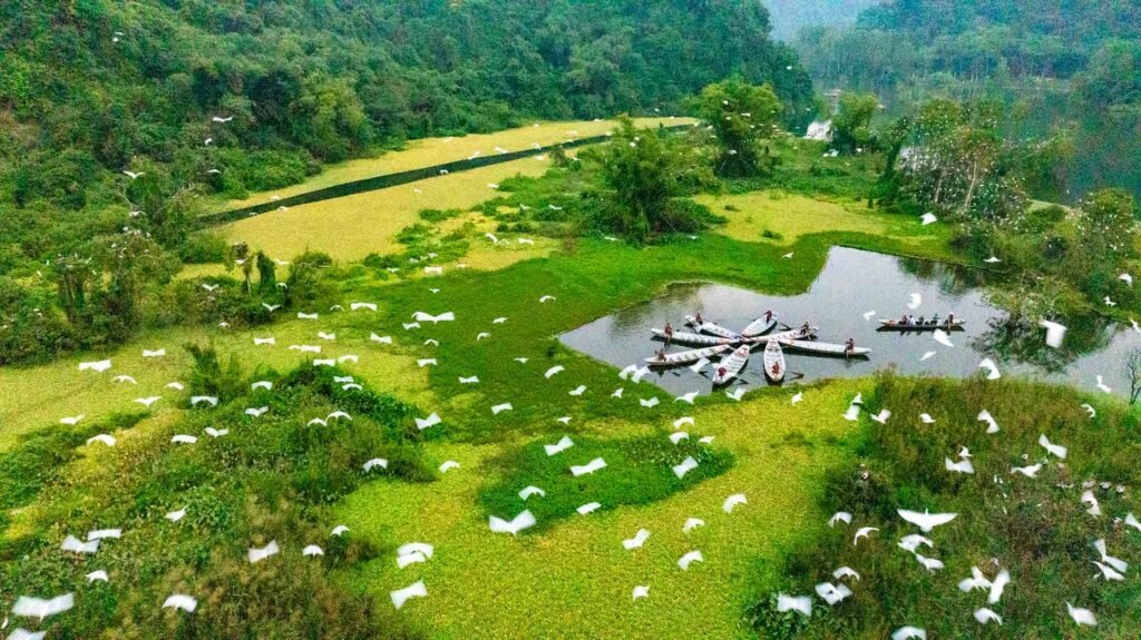 Thung Nham Bird Park Ninh Binh