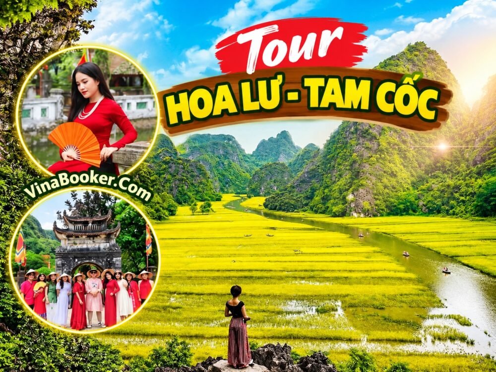 hoa lư - tam coc 1 day