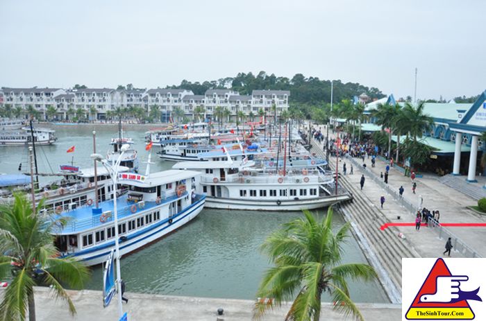 Kinh nghiệm Du lịch đảo Tuần Châu Hạ Long