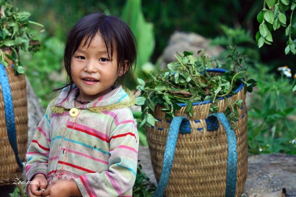 sapa-thuong-mai