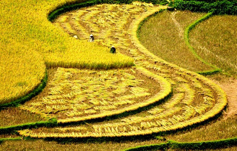 Du khách đến đây sẽ có được những bức ảnh đẹp mê hồn.