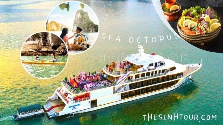 Tour Du lịch Hạ Long trọn gói VinaBooker