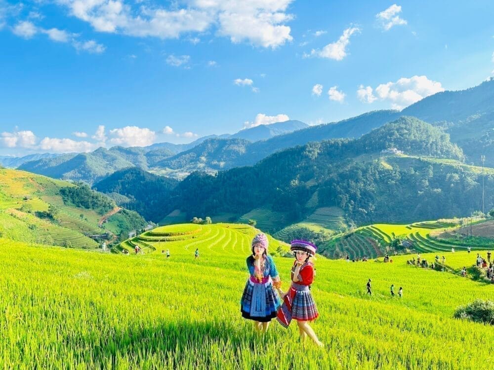 Tour Mùa Cang Chải 3 ngày 2 đêm
