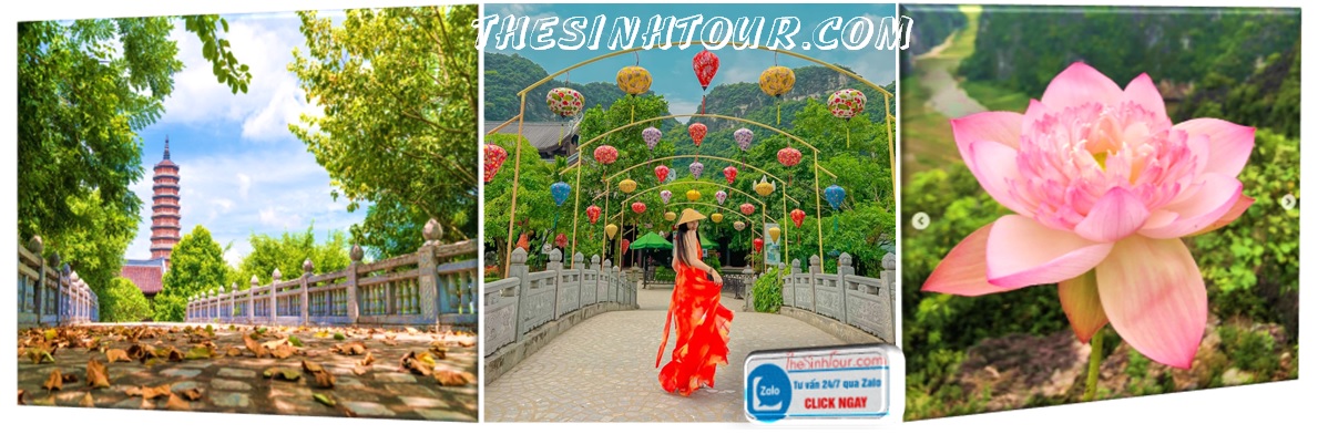 tou_hang_mua_ninh_binh