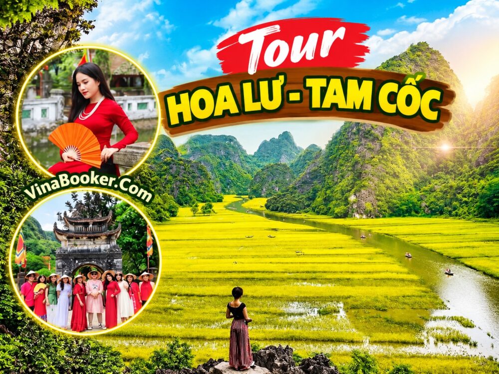 Tour Hoa Lư Tam Cốc 1 Ngày