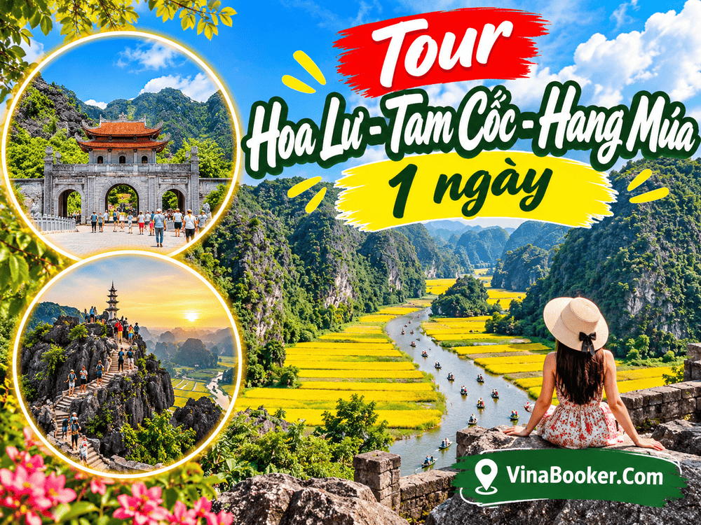 Tour Hoa Lư -Tam Cốc -Hang Múa 1 ngày