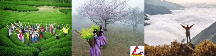 Khám phá Tour Mộc Châu - Tà Xùa 2 Ngày 1 Đêm