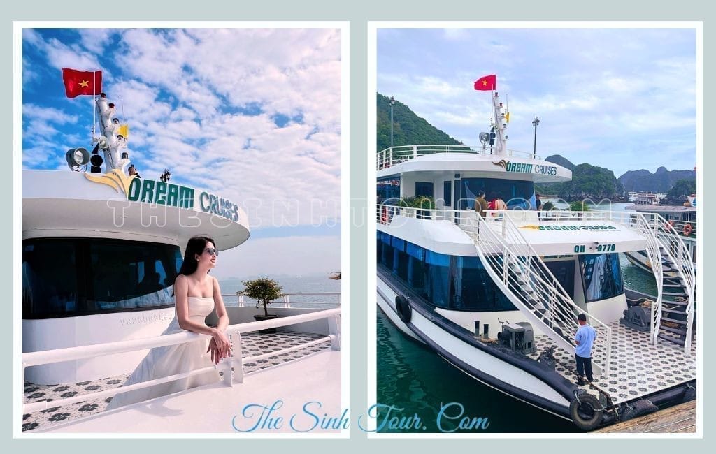 V-Dream Cruise Tiện nghi và dịch vụ đẳng cấp