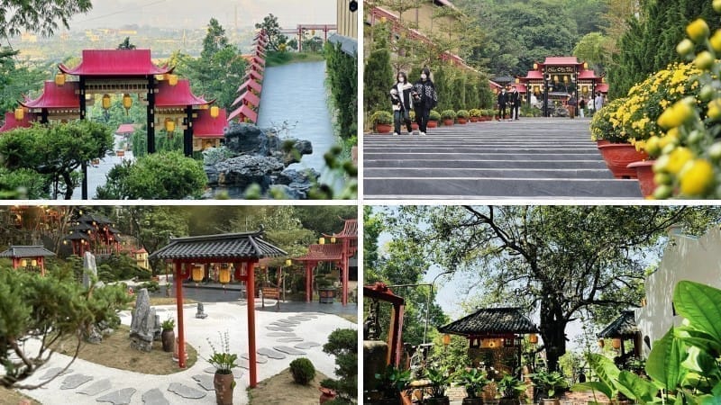 Tour chùa cây thị 1 ngày