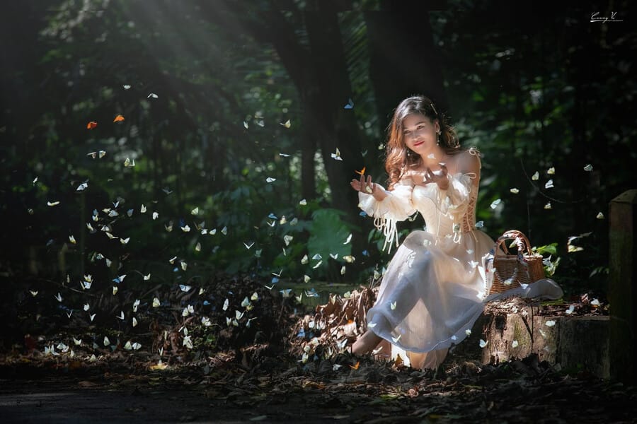 du-lich-rung-cuc-phuong-mua-buom