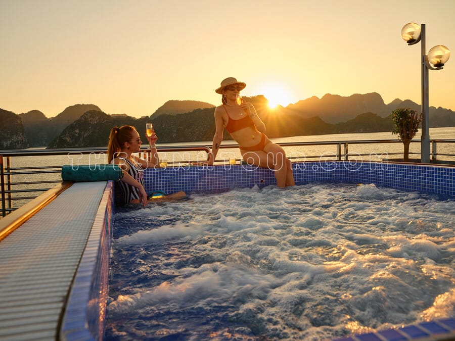 Tour 1 ngày, Sea Lion Cruise chính là lựa chọn lý tưởng!