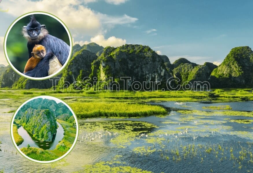 Tham quan khu bảo tồn đầm Vân Long