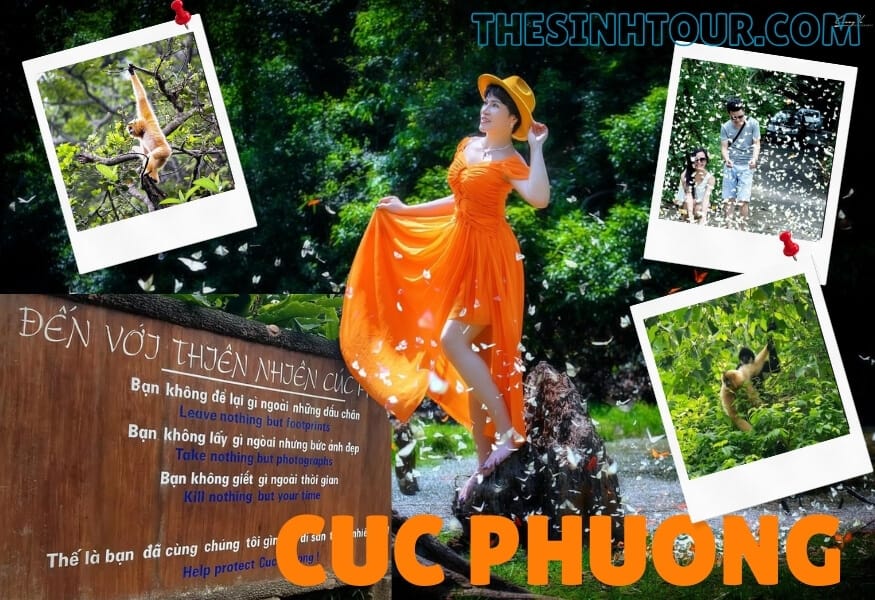 Tour Rừng Cúc Phương Ninh Bình 2 ngày 1 đêm