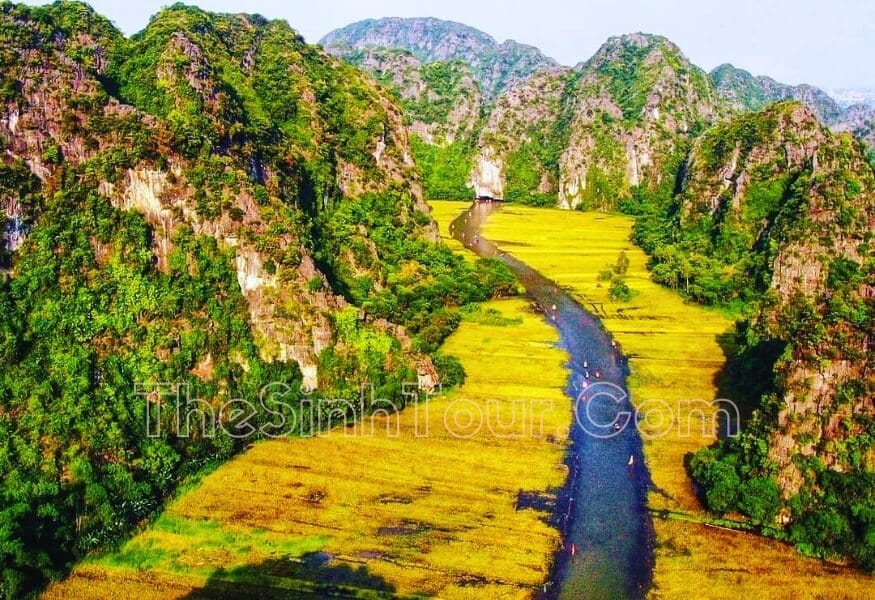 Tham quan cánh đồng lúa chín