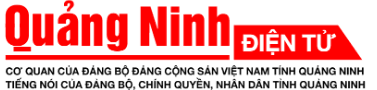 VinaBooker trên Báo Quảng Ninh