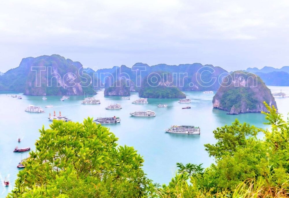 Di sản vịnh Hạ Long
