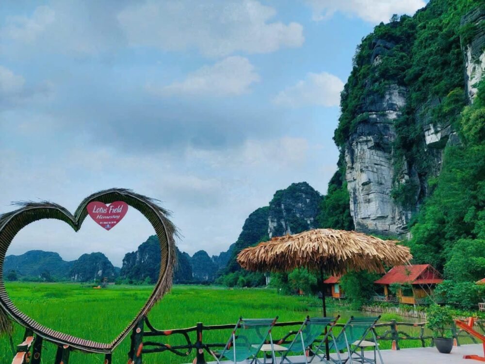 Lotus Field Homestay