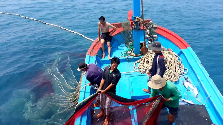 Một ngày đánh cá của ngư dân làng chài