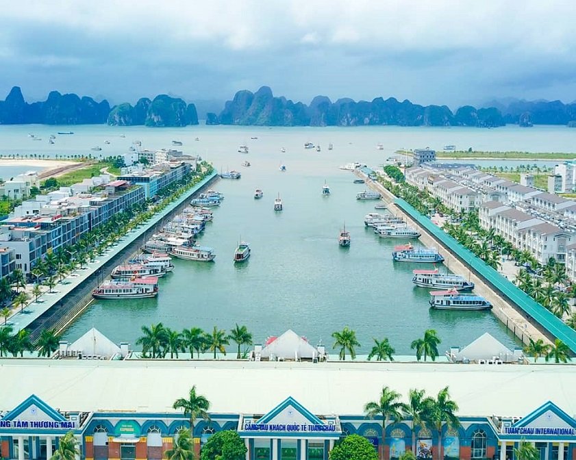 Âu 1 - Cảng tàu tiếng Tuần Châu